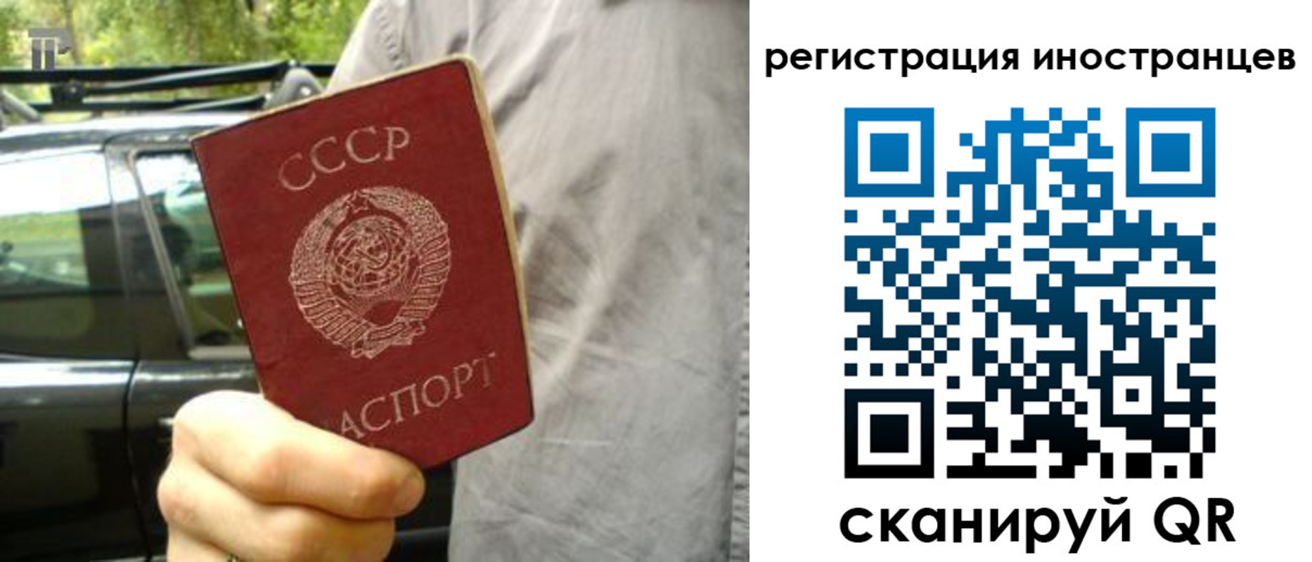 регистрация для дет. сада в Ельце